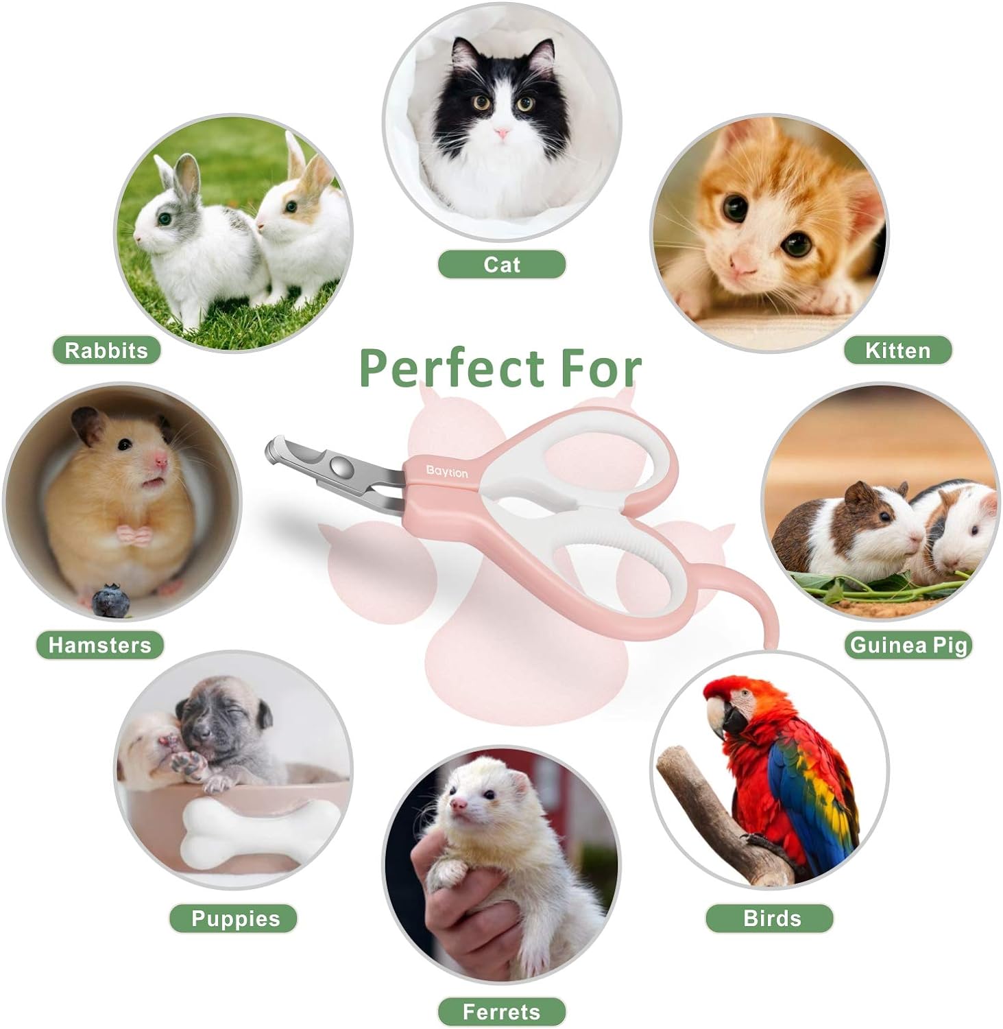 Cat Nail Clippers Pet Nail Clippers for small animals,Cat Nail Clipper Professional Cat Claw Trimmer,Claw Cutters Scissors for Guinea Pigs, Birds, Puppies, Kittens, Gerbils - MARRIABEE