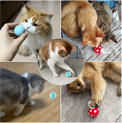 Interactive Cat Ball Toys,Self - Moving Automatic Rolling Ball for Indoor Cats and Dogs, USB Charging Pet Toy - MARRIABEE