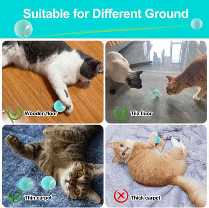 Interactive Cat Ball Toys,Self - Moving Automatic Rolling Ball for Indoor Cats and Dogs, USB Charging Pet Toy - MARRIABEE