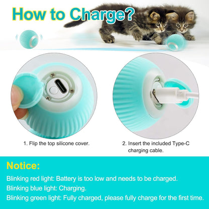 Interactive Cat Ball Toys,Self - Moving Automatic Rolling Ball for Indoor Cats and Dogs, USB Charging Pet Toy - MARRIABEE